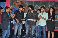 Run Raja Run Audio Launch